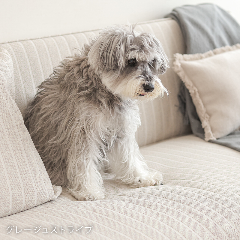 along3-blog26.jpg